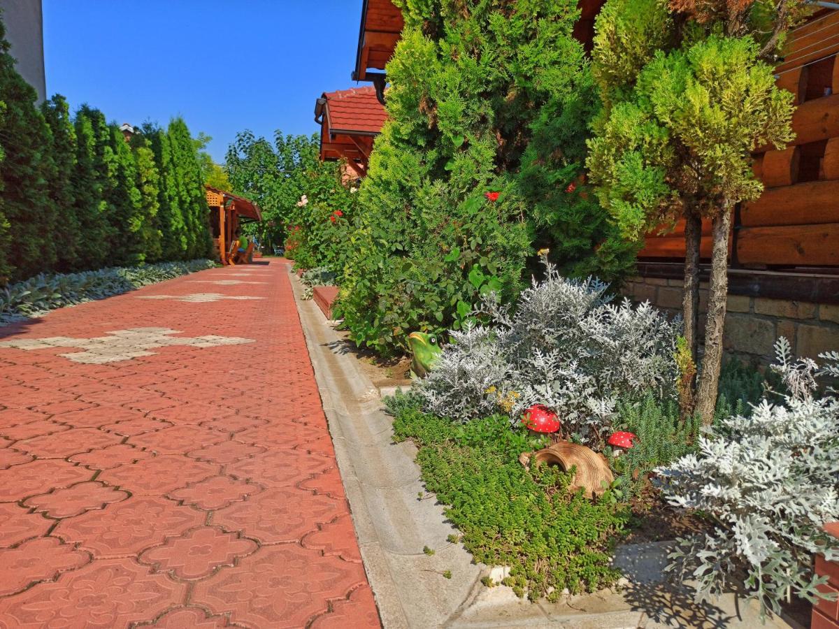Eko Apartmani Backi Petrovac Exterior foto